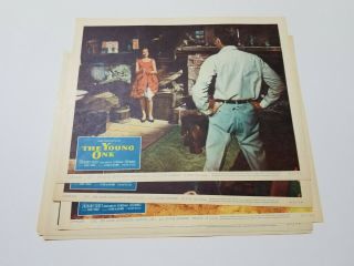 1961 The Young One Lobby Card Set 11x14 " Zachary Scott Luis Bunuel Mexican Drama