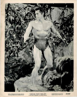 Gordon Scott Tarzans Fight For Life 1958 8x10 Still