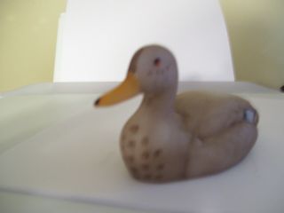 Fenton Art Glass Mallard Hen Duck - - Signed On Bottom 4