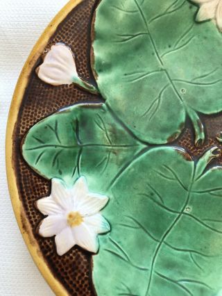Antique Majolica 9” Plate Water Lily On Brown Background 2