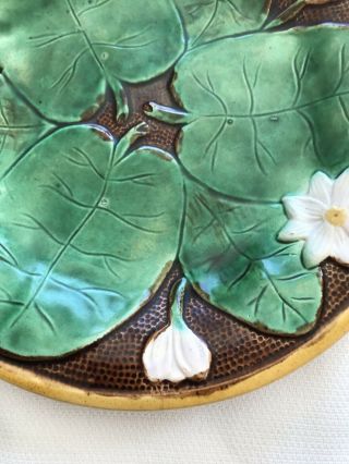 Antique Majolica 9” Plate Water Lily On Brown Background 3