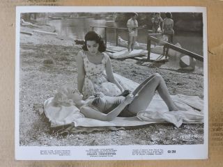Mamie Van Doren With Cathy Crosby Leggy Swimsuit Photo 1960 College Confidential
