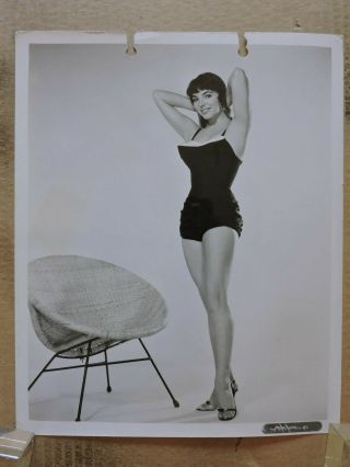 Joan Collins Full Leggy Swimsuit Pinup Studio Portrait Photo 1950 