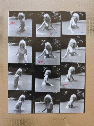 Ingrid Simon Contact Sheet Of Busty Bikini Pinup Portrait Photos 1960 