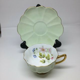 Shelley Stratford Wildflowers Atholl Shape 13987 Green Footed Cup & Saucer