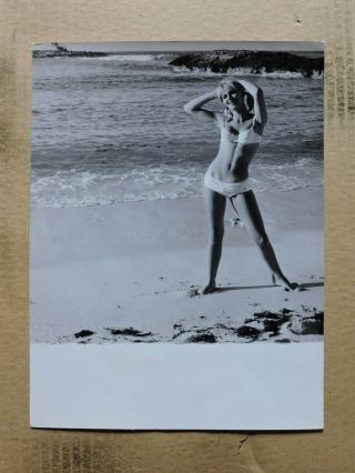 Eva Johansson Orig Leggy Bikini Pinup Portrait Photo By Lothar Winkler 1960 