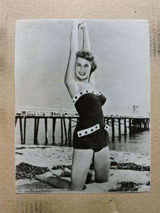 Janet Leigh Kneeling Leggy Swimsuit Pinup Portrait Photo 1953 Mgm