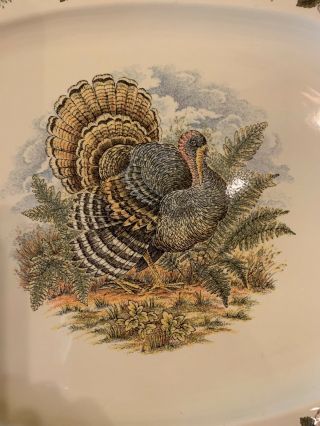 Queens Myott Thanksgiving 18” Turkey Platter EUC Holiday Dinnerware 2