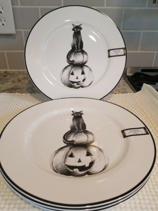 Ciroa Wicked Black Cat On Pumpkin Halloween Dinner Plates Set Of 4