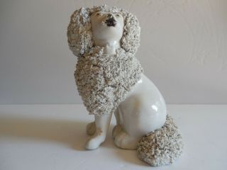 Antique Mid 19th C Staffordshire Poodle Dog With Separate Legs
