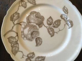 Castleton China Gloria Dinner Plates - Set Of 8