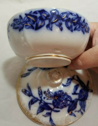 Antique Vintage Flow Blue Lily Lilies 3 Piece Cheese Butter Dish Porcelain 5
