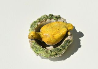 Small Antique Pearlware Staffordshire Bird On Nest 6