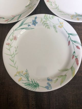 Set Of 5 Corelle My Garden Dinner Plates 10 1/4 Inches Blue Pink Yellow Flowers