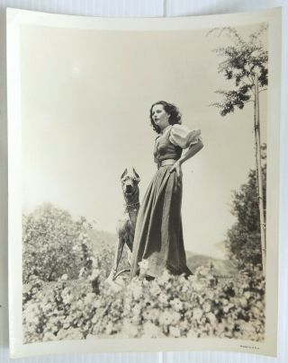 1976 Hedy Lamarr 8x10 Photograph