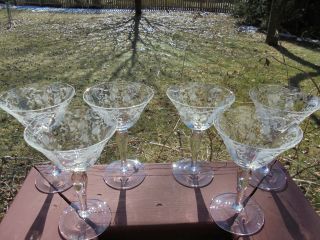 6 Vintage Cambridge Chantilly Cocktail Wine Goblets 5 7/8 "