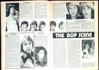 PICTURE POP ‘73 ALBUM David Bowie,  Slade,  Osmonds,  Sweet,  David Cassidy & More 8