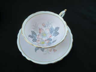 Vintage Paragon Tea Cup And Saucer With Dogwood Floral In Pink