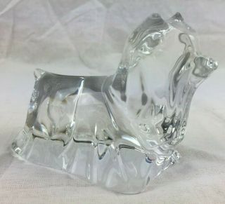 Baccarat Crystal Yorkshire Terrier Yorkie Dog Glass Figurine Paperweight - Gc