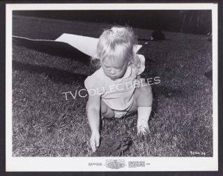 8x10 Photo Frogs 1972 Baby Girl Plays With A Frog Horror