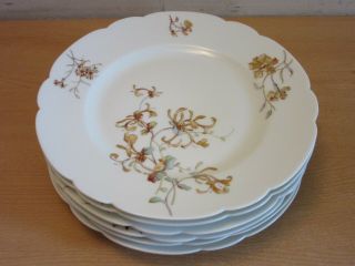Set Of 6 Antique Haviland & Co Limoges Porcelain Dinner Plates 9.  5 " Floral Wheat
