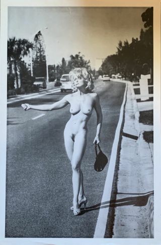 Madonna Hitchhiking Nude With Cigarette Poster 24 X 36