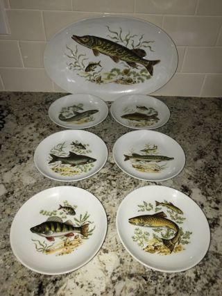 Naaman Israel White Porcelain Fish Oval Platter 14” & (6) Appetizer Plates