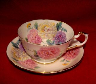 Paragon Chrysanthemum Cup & Saucer Pale Pink Gold Trim A3455/10 Vintage England