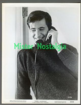 Vintage Photo 1959 Anthony Perkins On Telephone Mgm Green Mansions Publicity