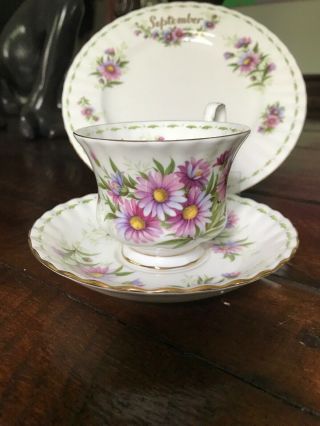 3 Pc Royal Albert Flower Of The Month Teacup Saucer Lunch Plate Euc September
