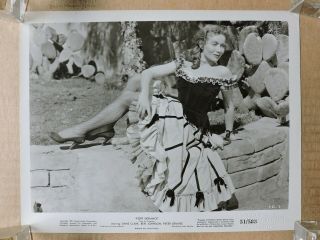 Tracey Roberts In Fishnet Stockings Orig Leggy Portrait Photo 1951 Fort Defiance