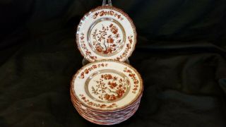 Vintage Copeland Spode " India Tree " 2/959 Bread Plates 6 3/4 " (11 Total)
