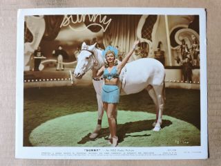 Anna Neagle With The Horse Leggy Colored Portrait Photo 1941 Sunny