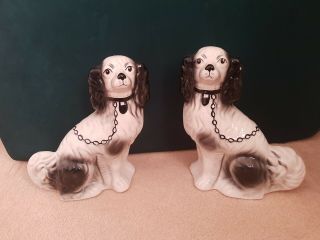 Antique Matching Paired Set Of Staffordshire Spaniel Dog Figures Mantle Set