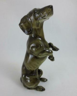 Vintage Hutschenreuther Selb Germany 5 " Dachshund Dog Begging On Hind Legs