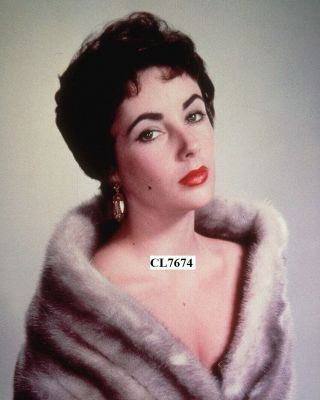 Elizabeth Taylor Posing In A Fur Wrap Portrait Photo