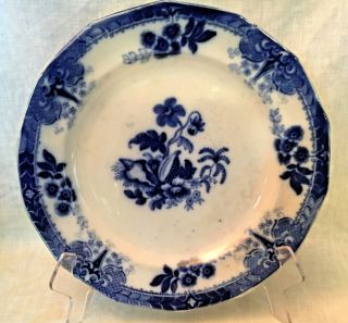 Antique Flow Blue Shell Dinner Plate Edward Challinor 1860s English Ironstone