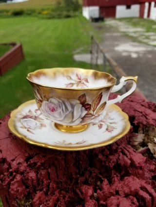 Royal Albert Teacup And Saucer Royal Albert Gold Crest Series White Cabbage Rose