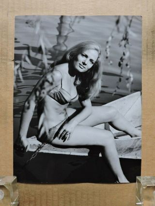 Ini Assmann Leggy Bikini Pinup Portrait Photo By Lothar Winkler 1960 
