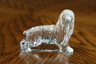 Waterford Crystal Cocker Spaniel Dog Figurine Paperweight Signed Made In Ireland