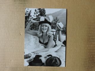 Hannelore Auer With Many Hats Busty Bikini Pinup Portrait Photo 1960 