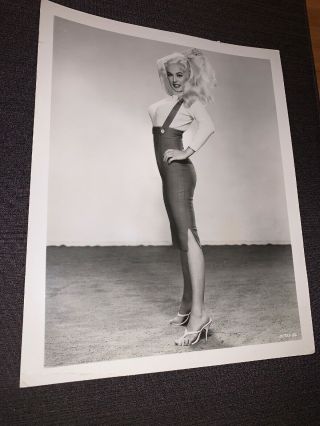 Mamie Van Doren Vintage 50’s Leggy Pin - Up,  Photograph 8x10