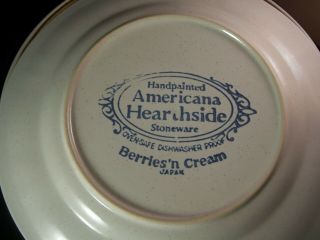 Berries N Cream Americana Hearthside Stoneware Japan Plates & bowls - Set of 10 2