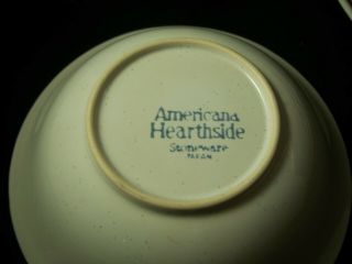 Berries N Cream Americana Hearthside Stoneware Japan Plates & bowls - Set of 10 4