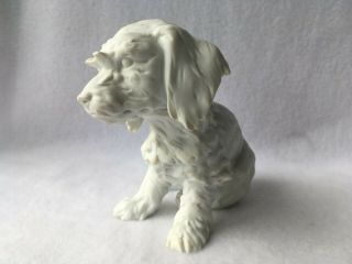 Kaiser Figurine Terrier Dog White Bisque Porcelain