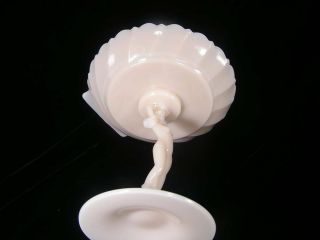 CAMBRIDGE - CROWN TUSCAN - Statuesque Shell 4
