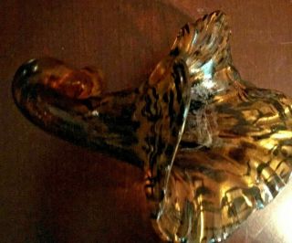 Hand Blown Glass Murano Art Style Seashell Conch Sculpture Tan and Black 3