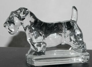 Heisey 1541 Scottie 5 " Dog Champ Sealyham Terrier Clear Paperweight 1941 - 1946