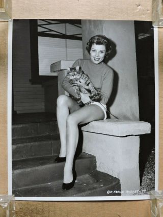 Adelle August With Her Cat Orig Leggy Pinup Portrait Photo By Cronenweth 1955