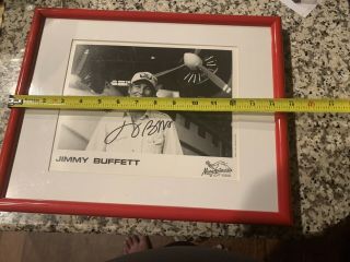 Jimmy Buffett Framed Autograph 3